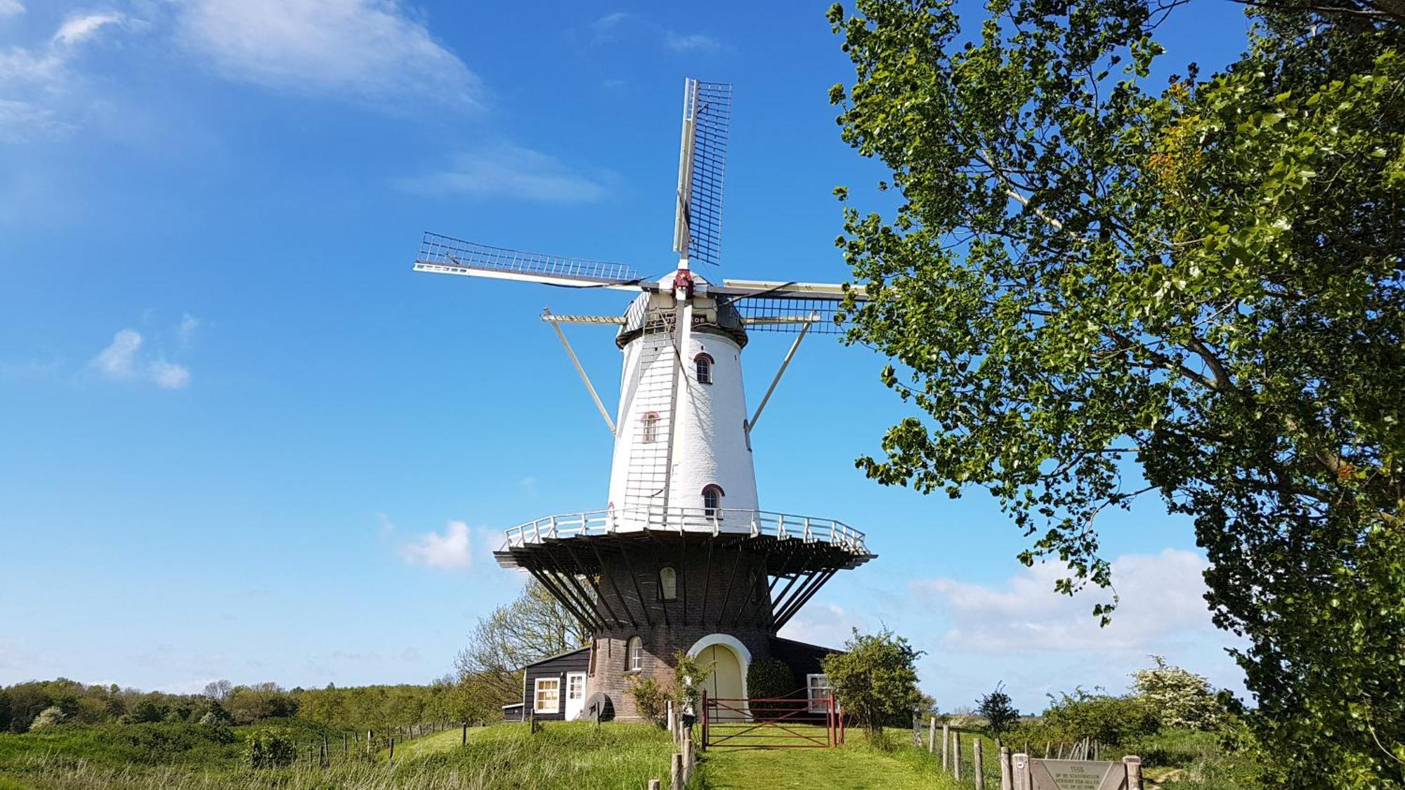 Olmenduin Chalet Olm Zeeland Serooskerke  Buitenkant foto