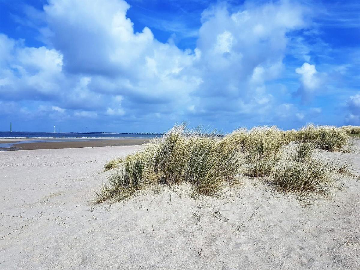 Olmenduin Chalet Olm Zeeland Serooskerke  Buitenkant foto
